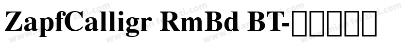 ZapfCalligr RmBd BT字体转换